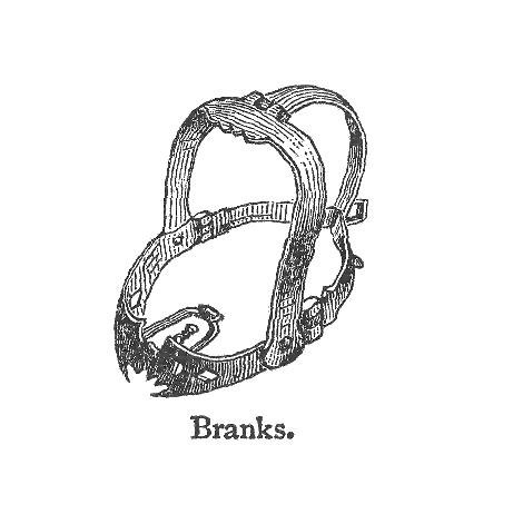 Mask incarceration: The nexus of pandemic, environmental degradation, and carcerality / by Ariel Ludwig, Jessica Brabble, and E. Thomas Ewing